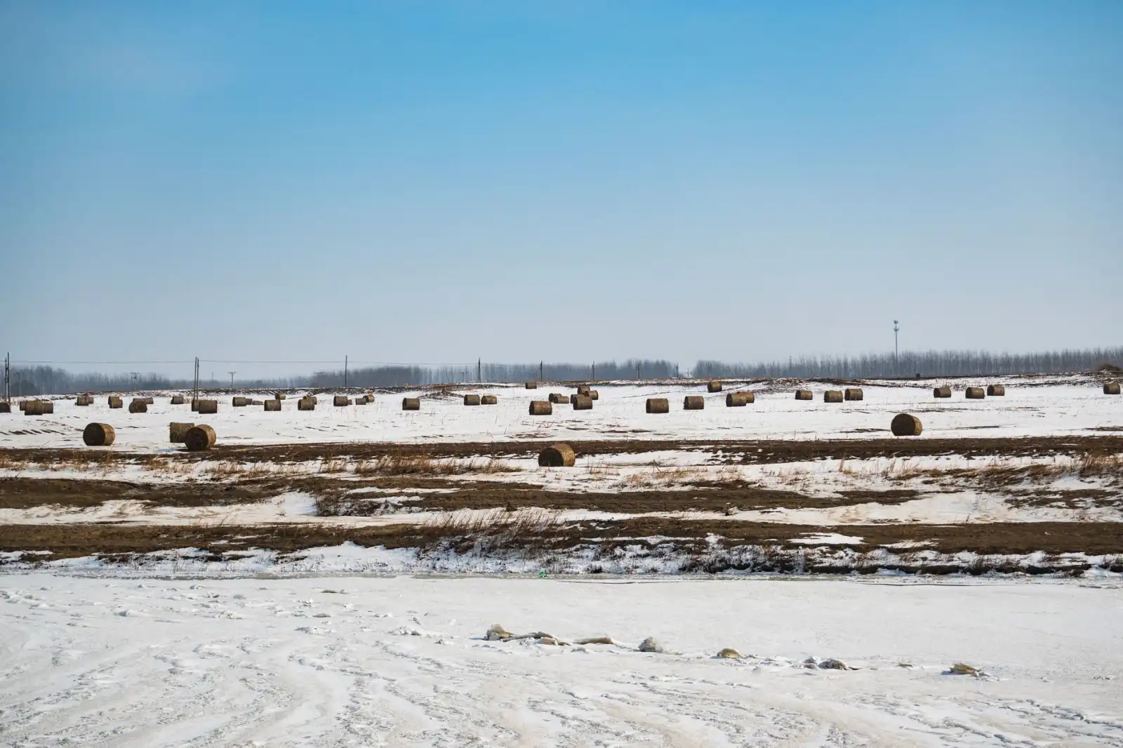 泰安企业宣传片制作全流程详解：从创意到成片的专业服务标准