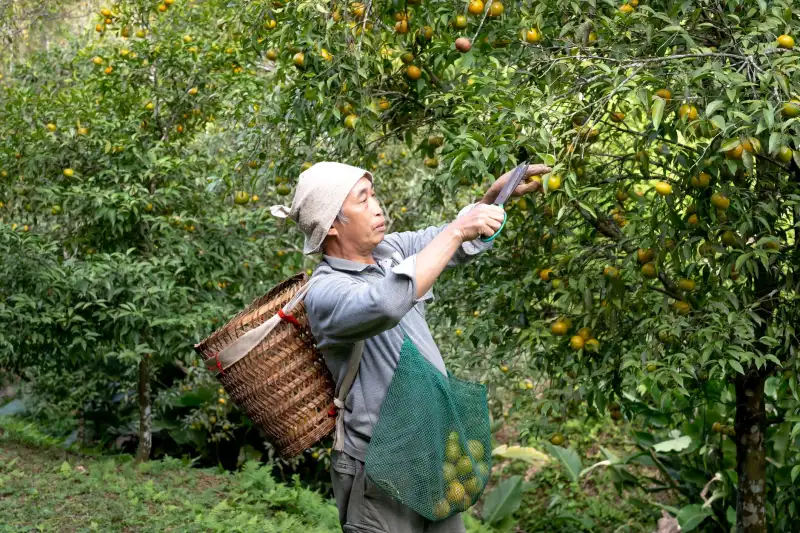 泰安企业宣传片制作全流程解析与周期预估
